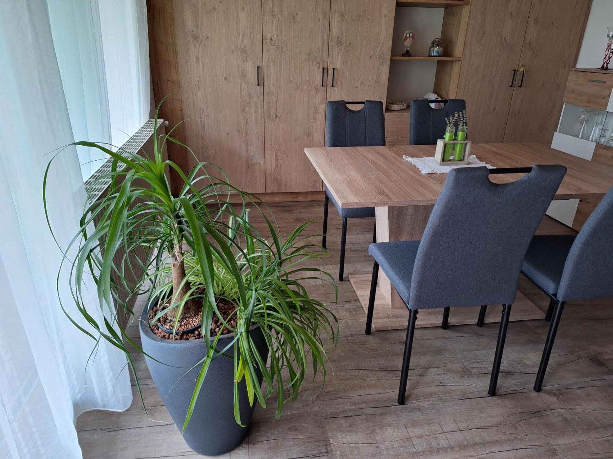 Apartment Eva Sautens Exteriér fotografie